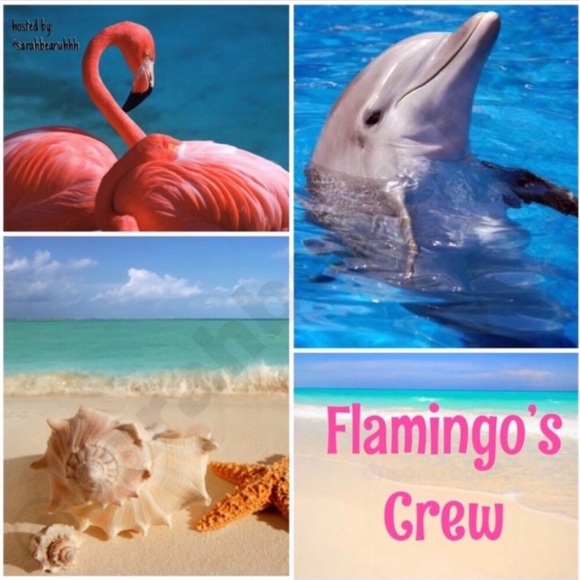 Featured Today🐬 - Picture 1 of 1